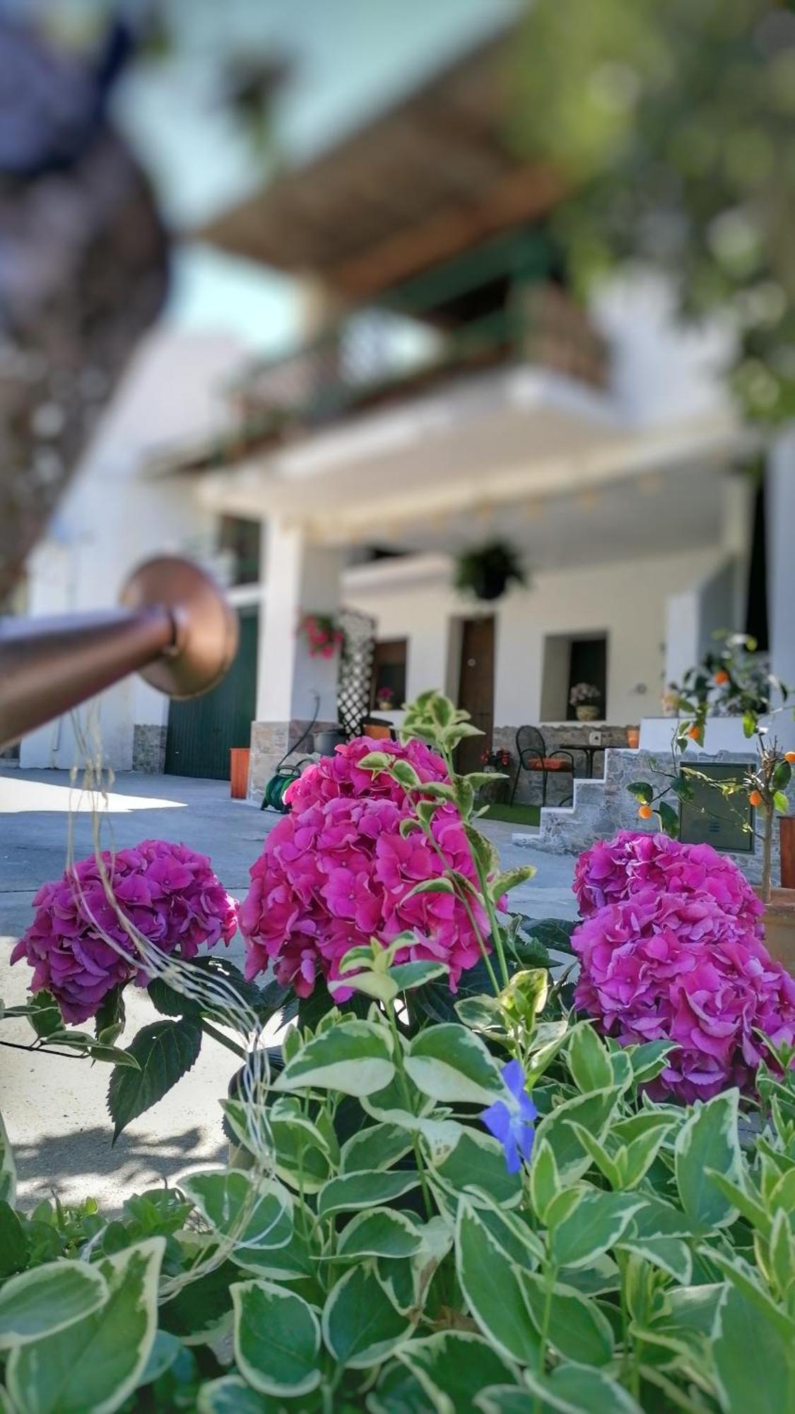 피노스제닐 La Casa De La Abuela 아파트 외부 사진