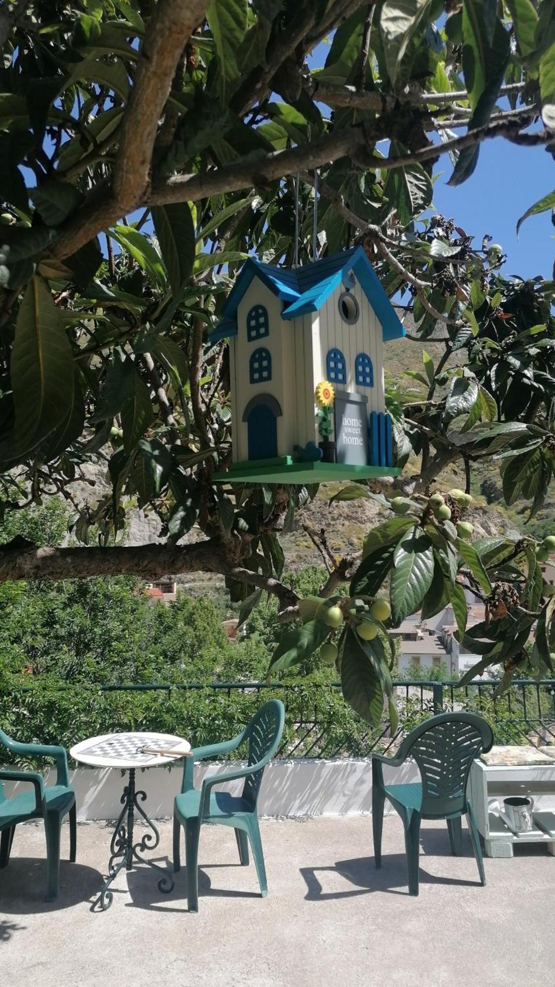 피노스제닐 La Casa De La Abuela 아파트 외부 사진